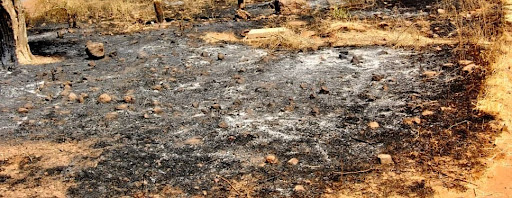 Scorched ground with scattered rocks and charred vegetation, showing signs of a recent fire. Sparse grass and tree remnants are visible.