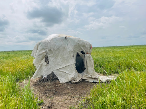 Makeshift tent made of white fabric on grassland under cloudy skies.