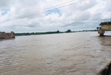 Wide river view with cloudy sky and distant greenery, featuring parts of an old and modern bridge on the sides.