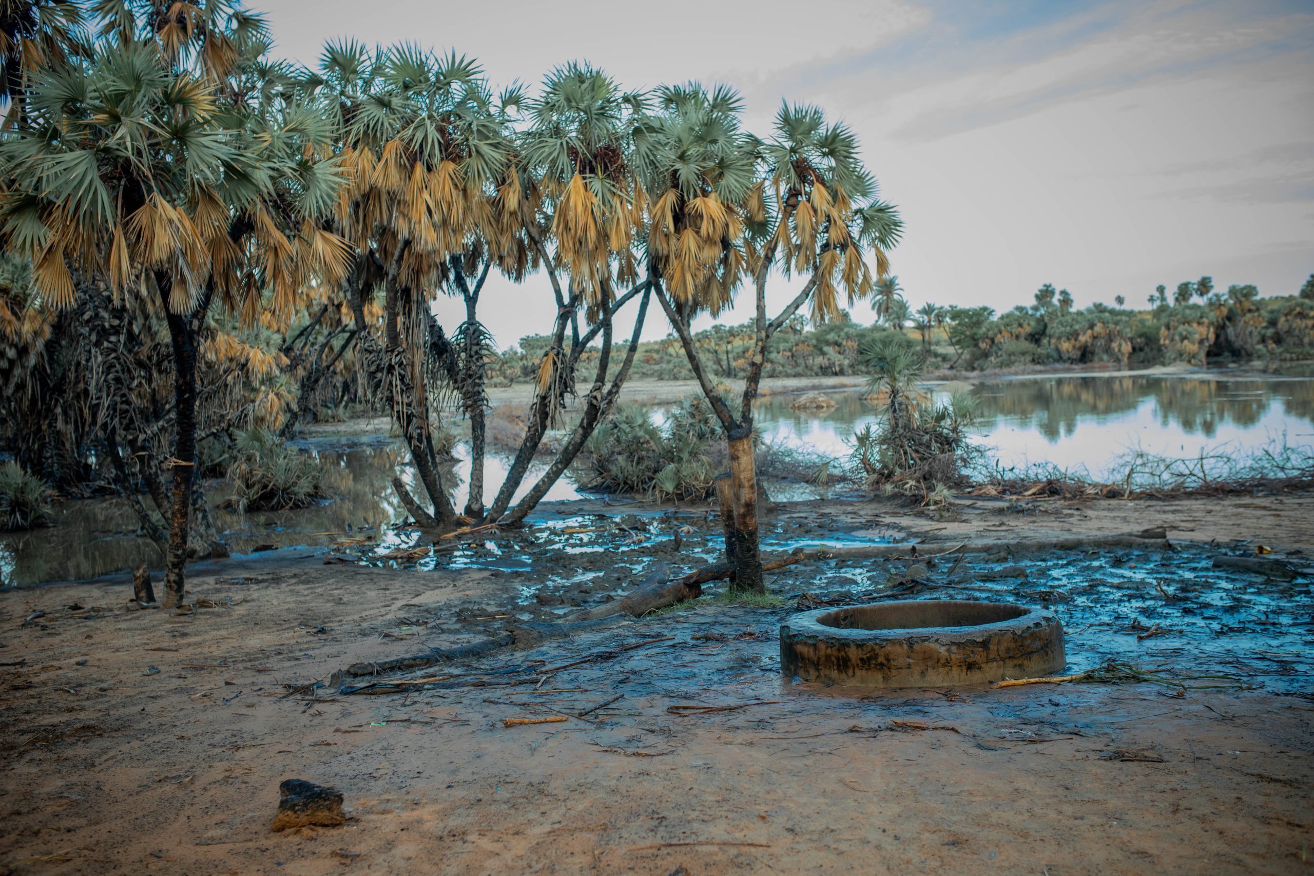 Tropical trees stand by a muddy riverbank with a circular stone structure in the foreground under a cloudy sky.