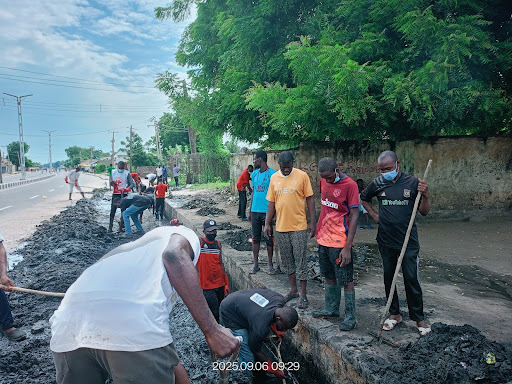 People working together to clear debris from a roadside under sunny skies.