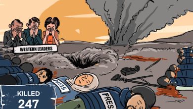 gaza crisis