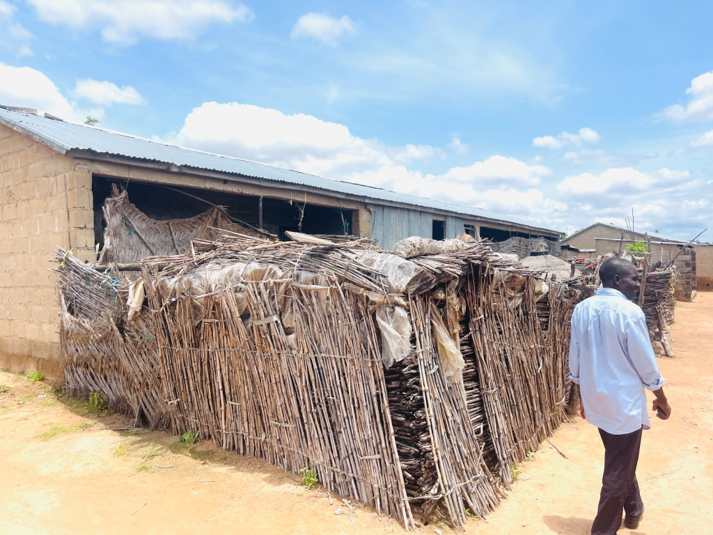A man walks past a structure made of wooden sticks and thatch in front of a concrete building on a sunny day.
