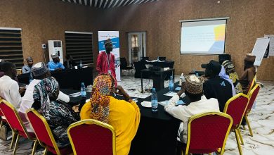 Fellows Reflect as HumAngle Concludes