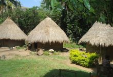 Three thatched-roof huts surrounded by lush greenery and a sunny garden with a seated person in the foreground.