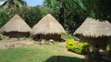 Three thatched-roof huts surrounded by lush greenery and a sunny garden with a seated person in the foreground.