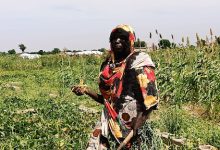 A person in a colorful outfit stands in a lush, green farm field, holding a tool, with structures visible in the background.