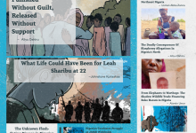 A collage highlighting journalism stories by HumAngle in 2025, focusing on conflicts, health, and social issues in Africa.