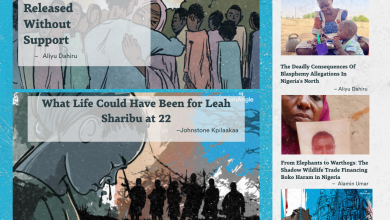 A collage highlighting journalism stories by HumAngle in 2025, focusing on conflicts, health, and social issues in Africa.