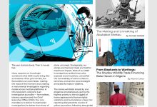 HumAngle's Top 5 Investigations of 2025 cover stories on security, humanitarian issues, and journalism highlights.