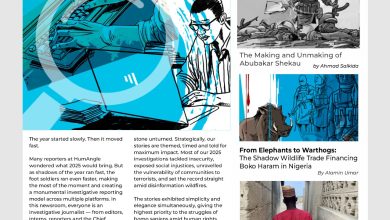 HumAngle's Top 5 Investigations of 2025 cover stories on security, humanitarian issues, and journalism highlights.