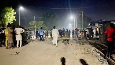 A nighttime street scene with a crowd of people gathered under streetlights, surrounded by trees and shadows.