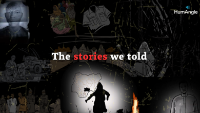 Collage illustration of conflict and resilience in Nigeria with text: "The stories we told." HumAngle logo in the corner.