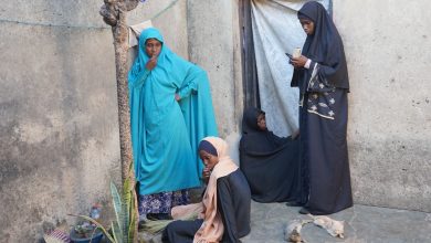 Four women in various hijabs stand and sit outside a doorway. Two cats rest nearby on the ground.