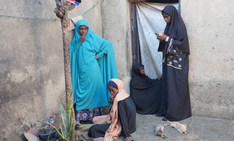 Four women in various hijabs stand and sit outside a doorway. Two cats rest nearby on the ground.