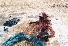Person sorting grains on a mat, wearing colorful patterned clothing, outdoors on a sunny day.
