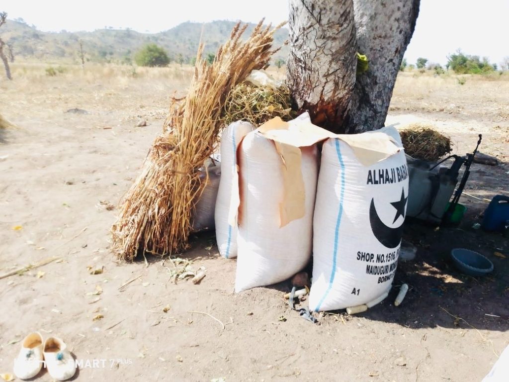 Bags and bundles of straw leaning against a tree in a sunny, arid landscape. A pair of shoes is on the ground nearby.