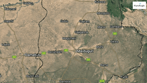 Satellite map showing the Maiduguri region in Nigeria, highlighting roads and towns like Damaturu, Gubio, and Gambaru.