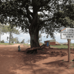 Sorry! Image not available at this time