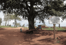 Dirt road with a large tree and a sign saying "La République Démocratique du Congo vous souhaite la bienvenue" on the right.