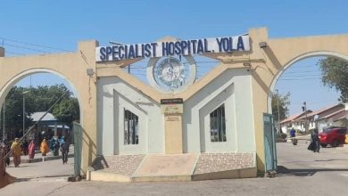 Entrance of Specialist Hospital Yola, featuring an archway and people walking nearby under a clear blue sky.