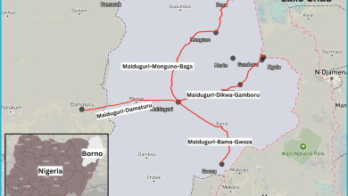 Map showing road routes in Borno, Nigeria, connecting Maiduguri with Damaturu, Monguno, Baga, Dikwa, Gamboru, Bama, and Gwoza.