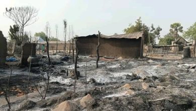Burned remnants of homes and charred ground in a village, with a few standing structures and bare trees under a clear sky.