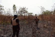 Two soldiers in protective gear walk through a dry, wooded area with sparse vegetation under a clear sky.