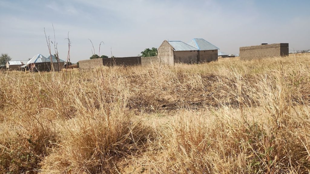 Dry grass field with a few small buildings and metal roofs in the distance under a clear blue sky.