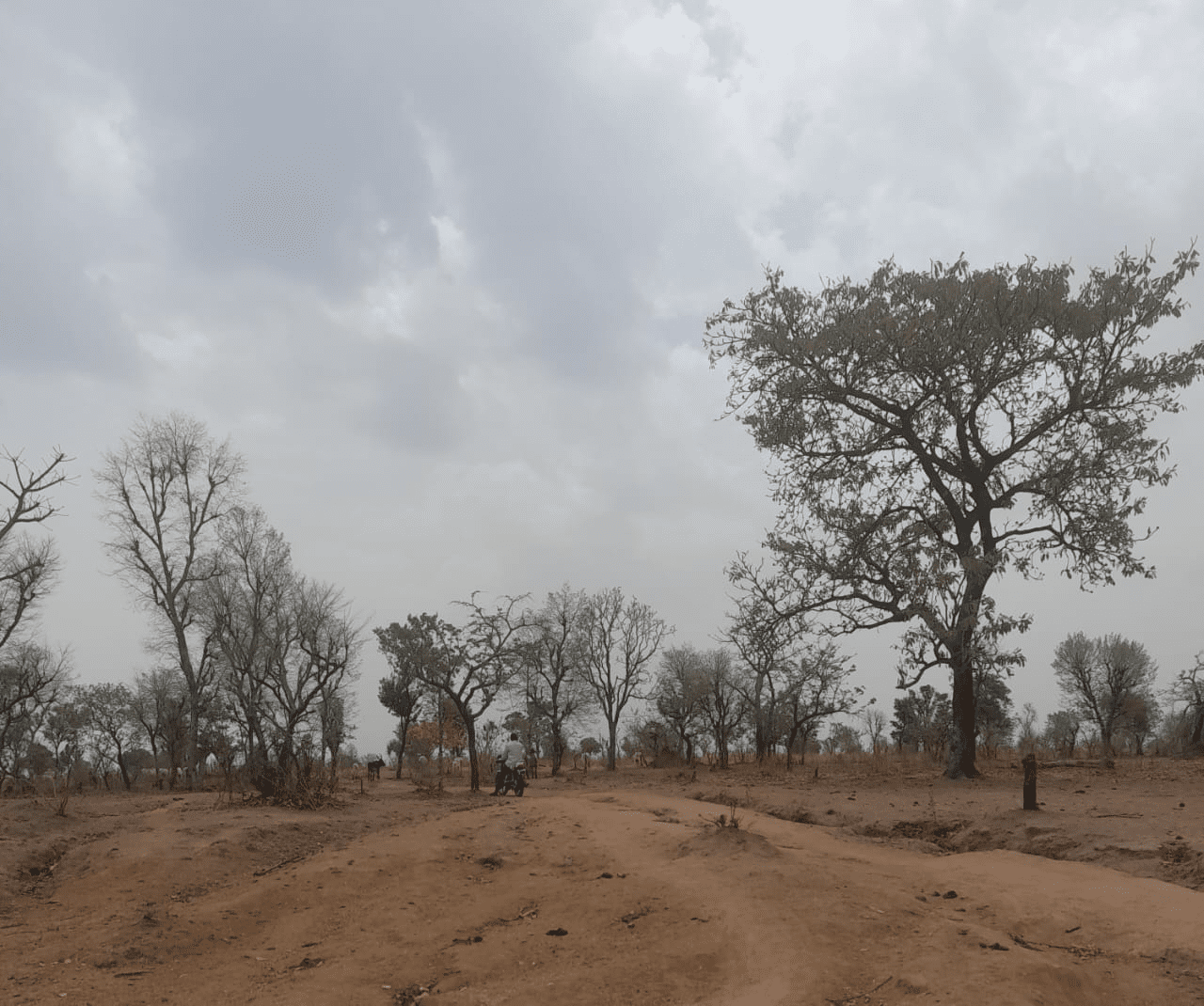 Nigeria’s Disharmonised Digital System Leaving Low-Income Farmers Behind