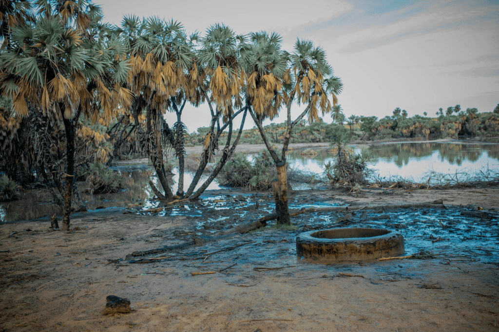Muddy landscape with palm trees and a water-filled well, reflecting a cloudy sky.