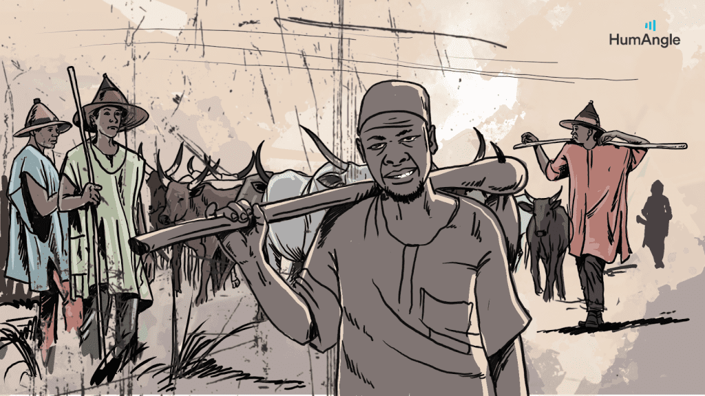 Illustration of a group of herders walking with a herd of cattle, carrying sticks and wearing traditional hats.