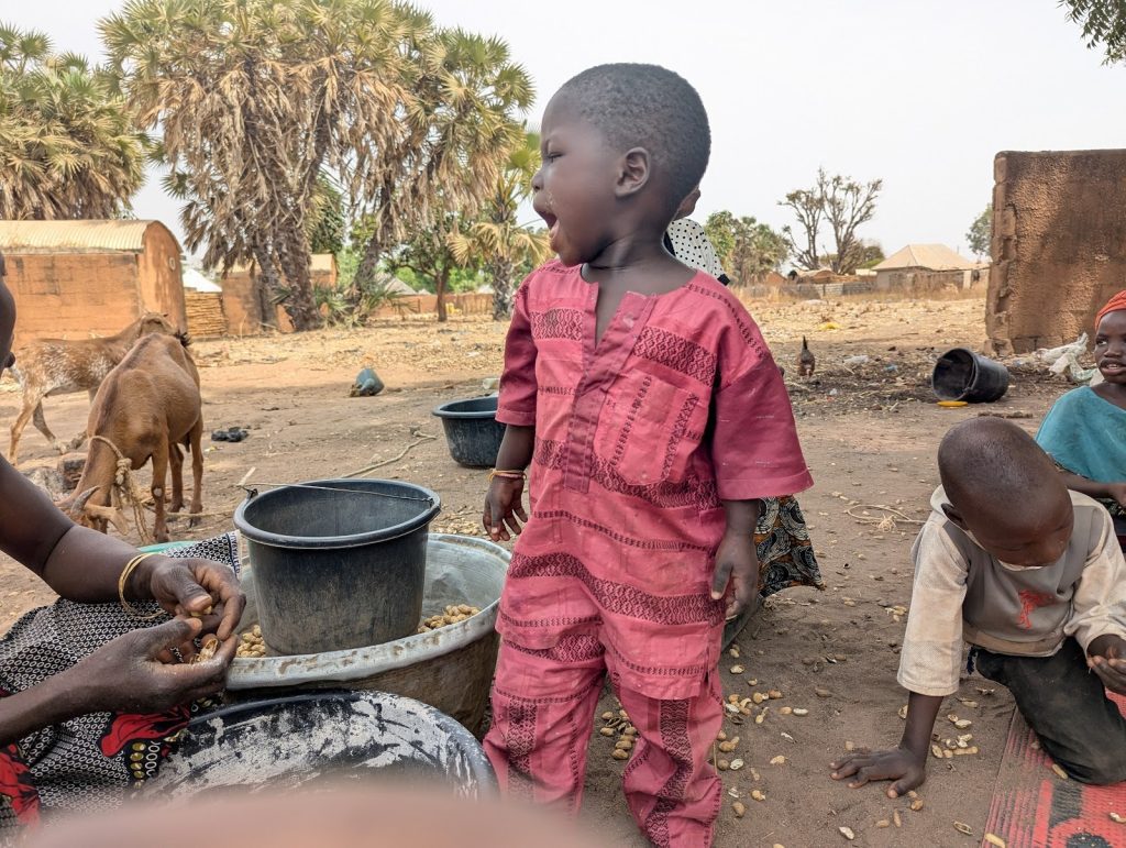 Young children playing and shelling nuts outdoors, with goats nearby under palm trees.