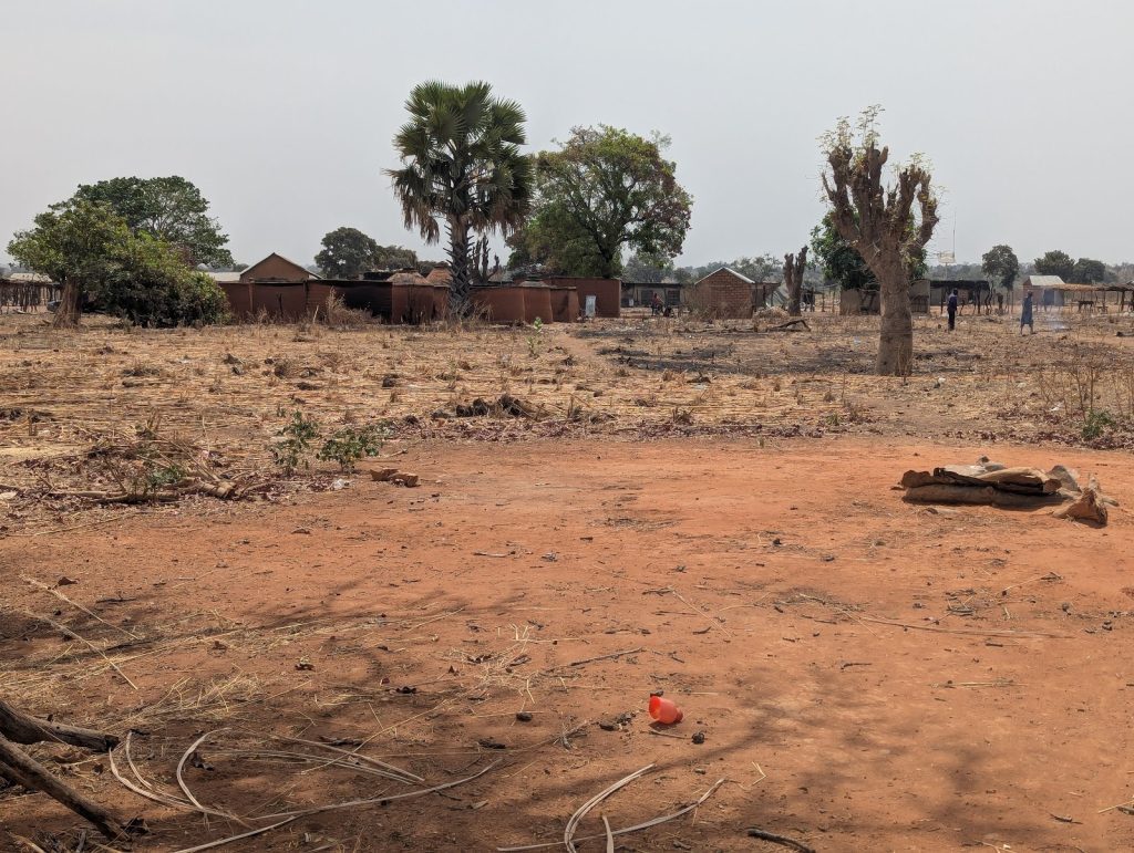Dry, rural landscape with scattered trees, small buildings, and a red cup on the ground.