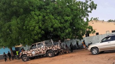 Camouflage vehicle and silver SUV parked under a large tree with people and motorcycles nearby.