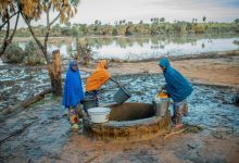 Three people gather water from a well beside a river, surrounded by trees and muddy ground.