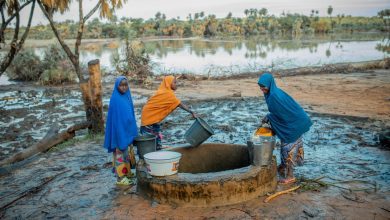 Three people gather water from a well beside a river, surrounded by trees and muddy ground.