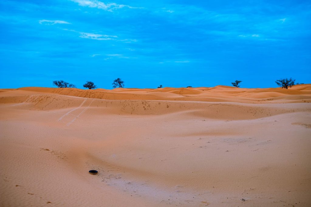 Golden sand dunes under a bright blue sky with scattered trees in the distance.
