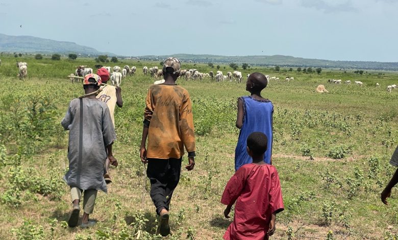 A group of people, including children, walk through a grassy field with cattle in the distance under a clear sky.