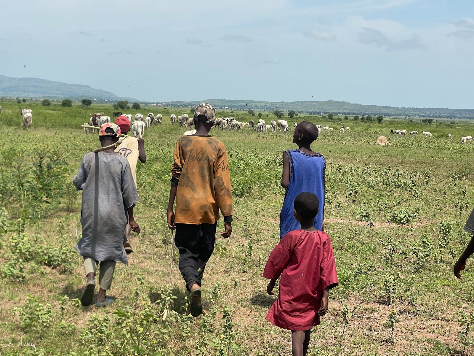 Violence Erodes Adamawa’s Farmer-Herder Social Tradition