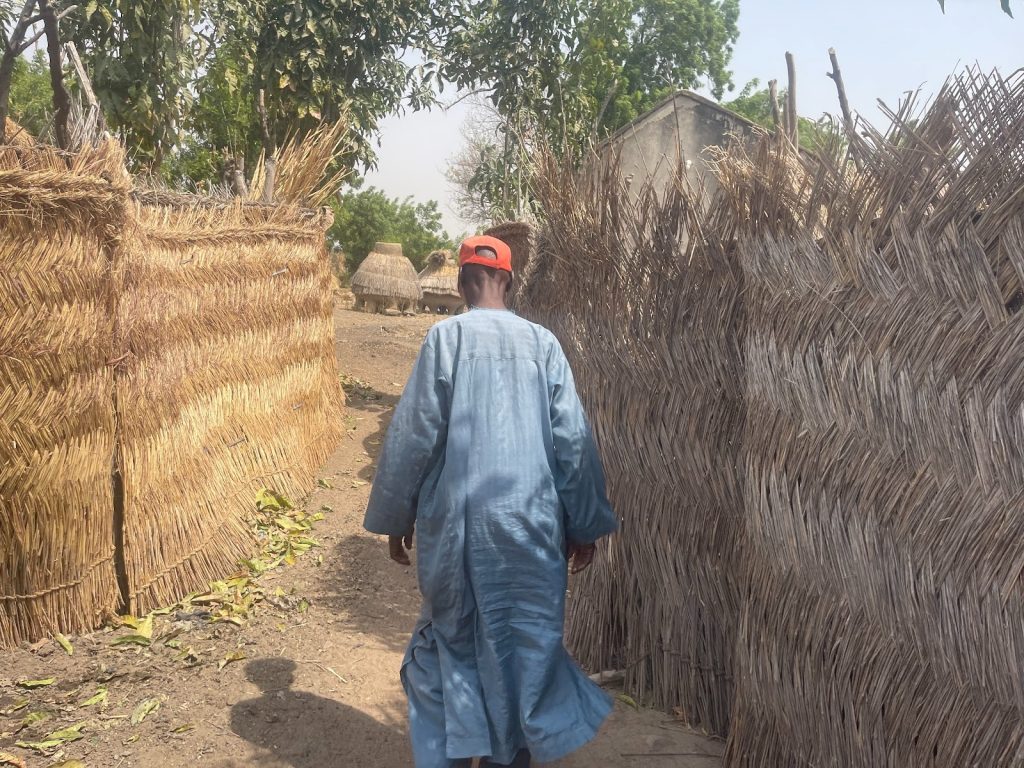 A person in a blue robe and red cap walks along a path between straw fences, with trees and huts visible in the background.