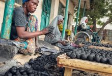People forming coal balls by hand, sitting outdoors. One person in a wheelchair, another in colorful attire, surrounded by trays of coal balls.