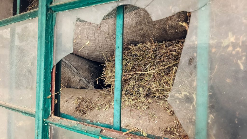 Close-up of a broken window revealing bags filled with dried herbs.