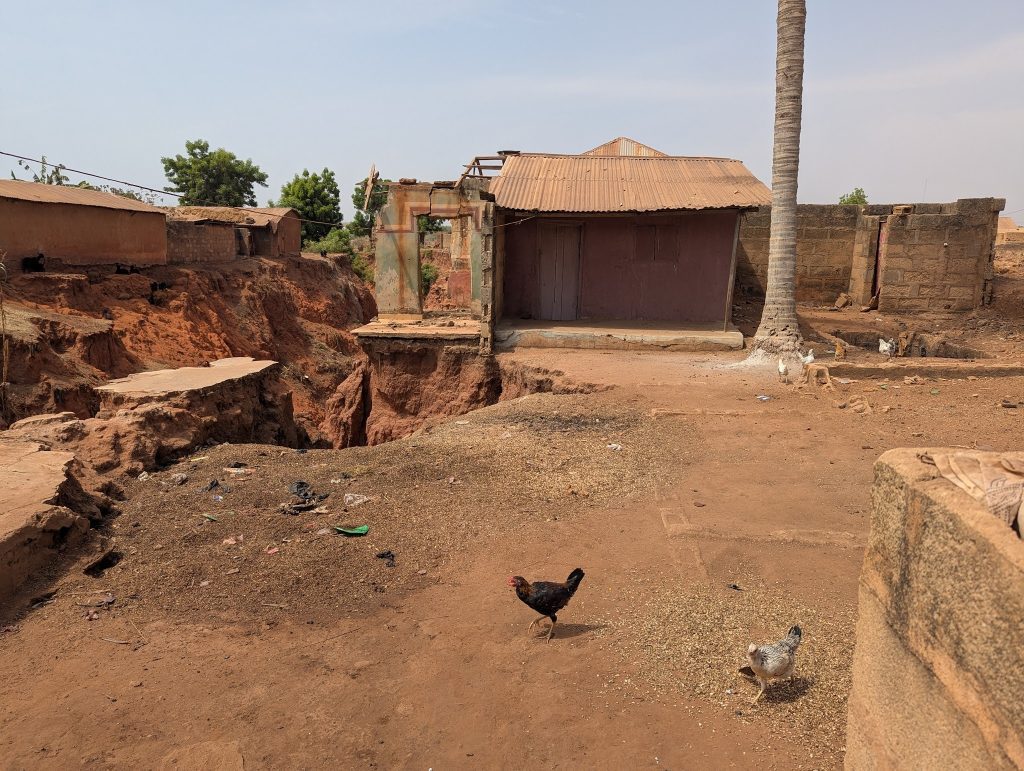 Rural landscape with a dirt path and houses, some erosion visible. Chickens roam in the foreground near a palm tree.