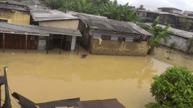 Flooded neighborhood with submerged buildings and muddy water, surrounded by greenery and overcast sky.