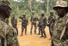 Soldiers in camouflage uniforms stand on a dirt path, equipped with rifles and wearing helmets, surrounded by green foliage.