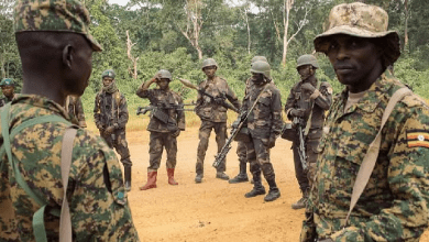Soldiers in camouflage uniforms stand on a dirt path, equipped with rifles and wearing helmets, surrounded by green foliage.
