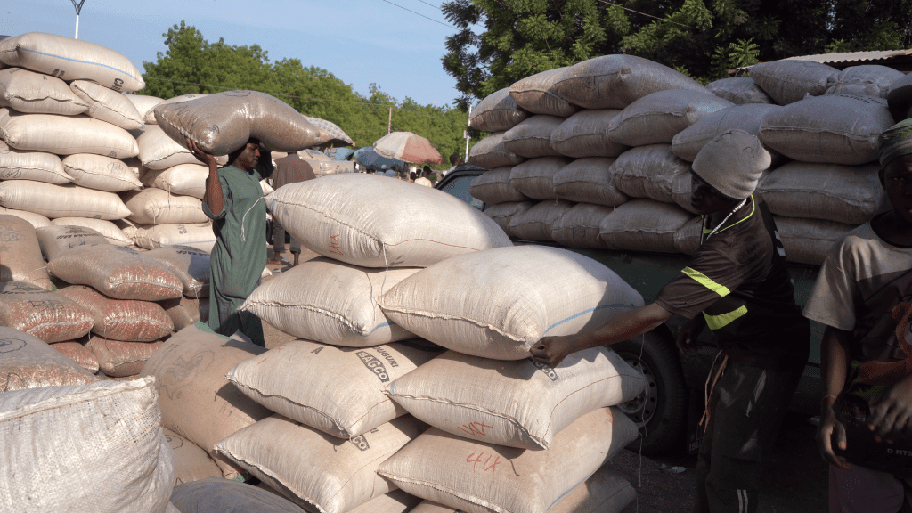 Workers carry large sacks at a busy outdoor market.