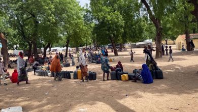 People gather under trees, with containers, in a sandy open area, while others are in the background near buildings.