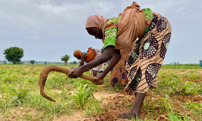 Women in colorful attire farming in a field under a cloudy sky, using tools to tend to crops.
